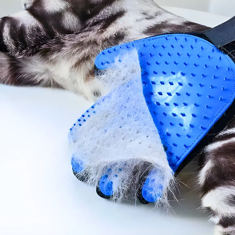 Luva Escova Removedora de Pelos Para Cães Gatos e Pets