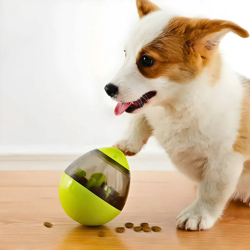 Brinquedo com Cães com Dispenser para Petisco e