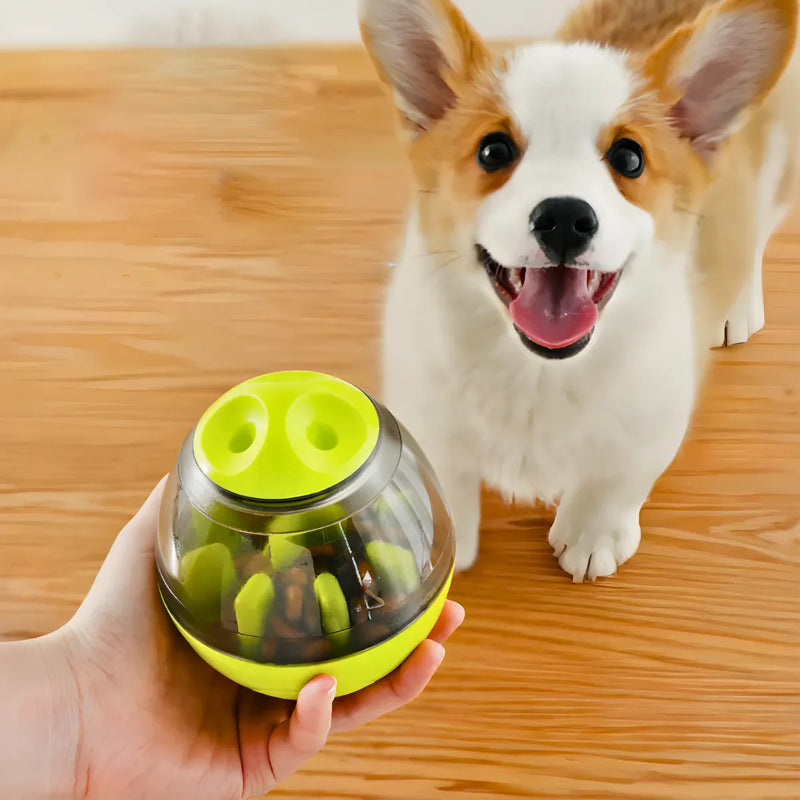 Brinquedo com Cães com Dispenser para Petisco e
