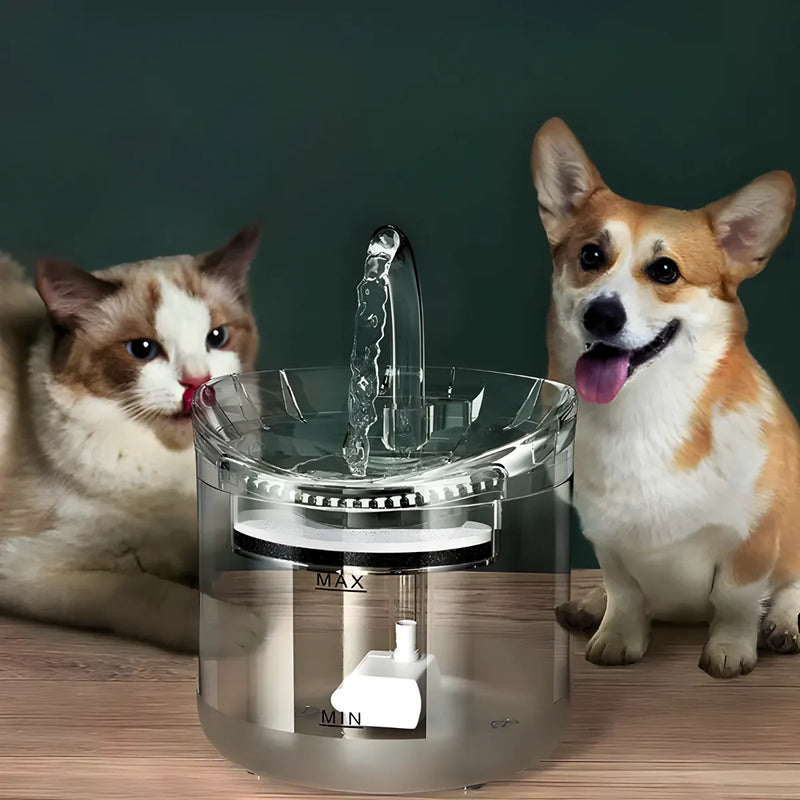 PetWater - Fonte De Agua Com Filtro Para Pet
