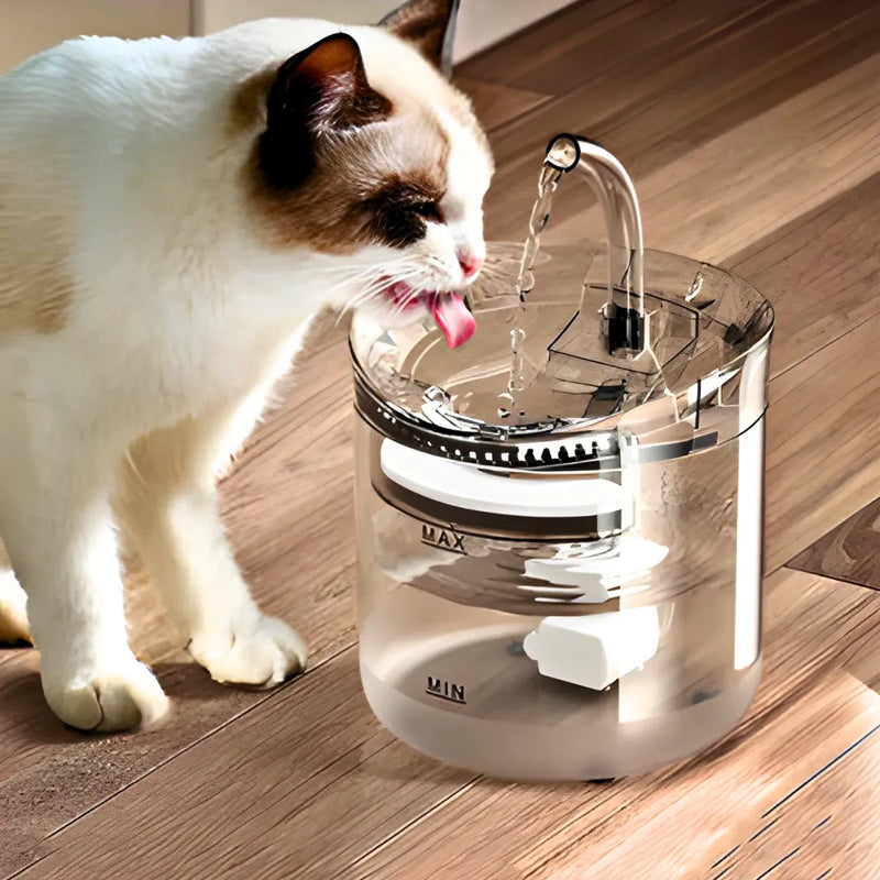 PetWater - Fonte De Agua Com Filtro Para Pet