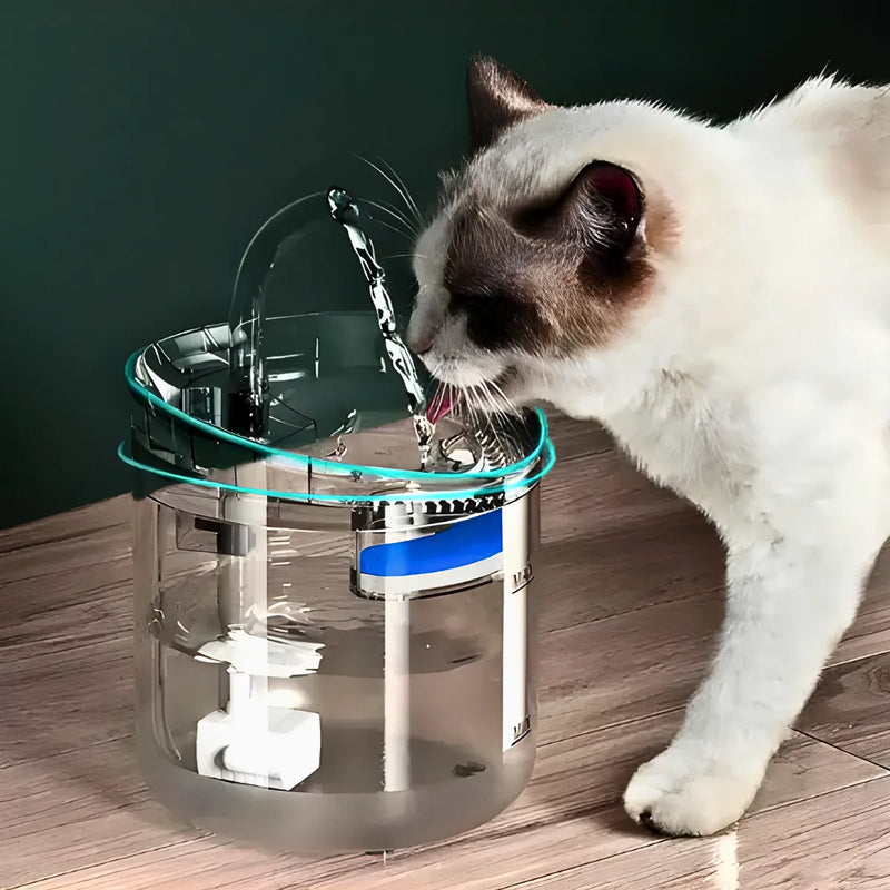 PetWater - Fonte De Agua Com Filtro Para Pet